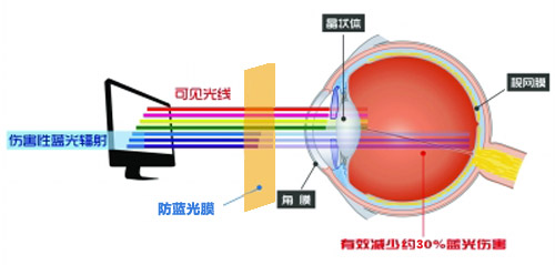 宅男网站免费最新科技成果 宅男视频在线看成护眼利器